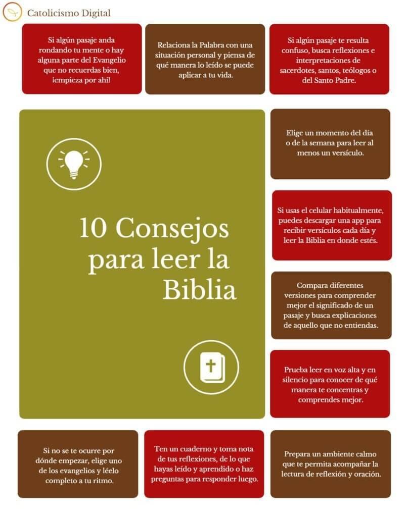 Devorar Murciélago lechuga 10 Consejos para leer la Biblia y Reforzar el Hábito de su Lectura
